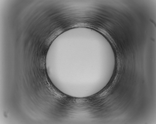 X0000100320857200806261225