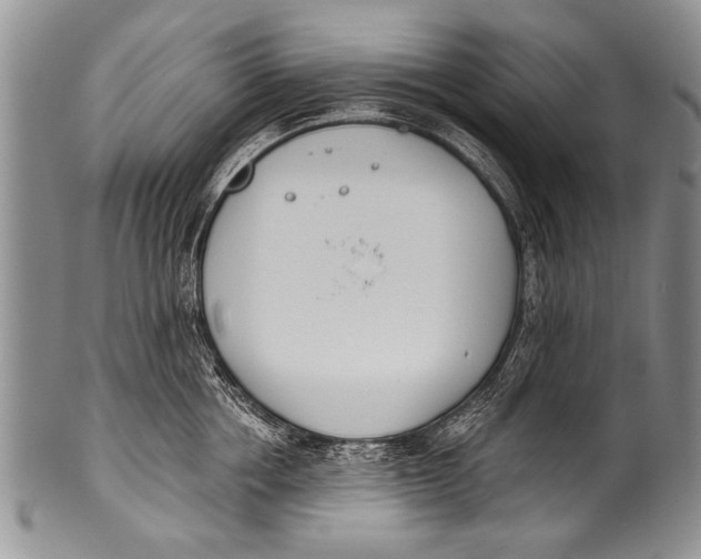 X0000100320858200806261225