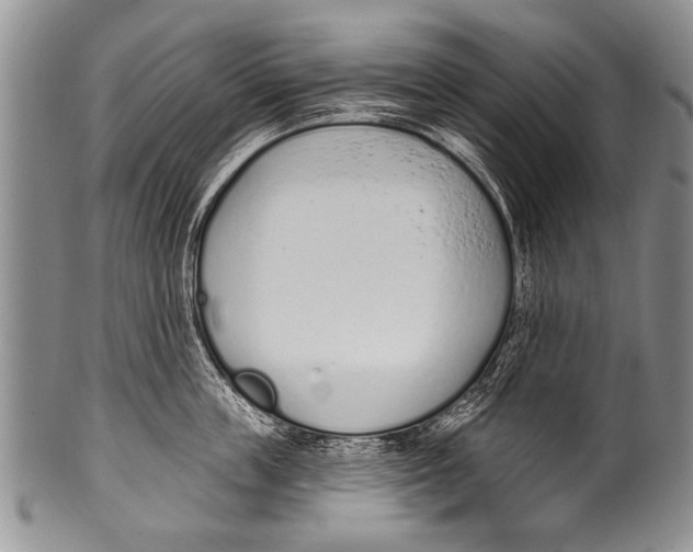 X0000100320859200806261225