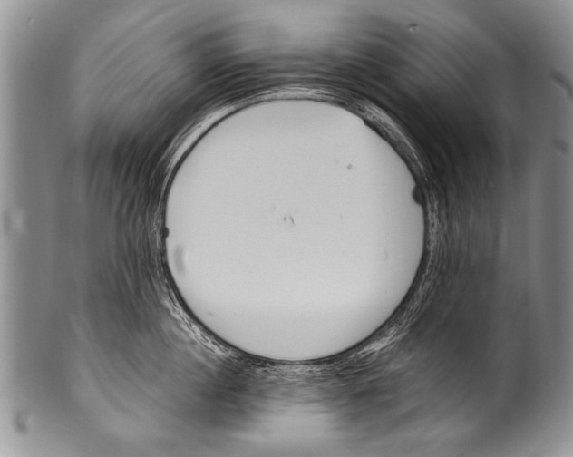 X0000100320860200806261225