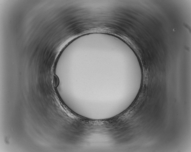 X0000100320862200806261225