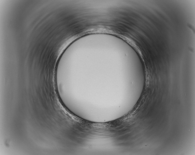 X0000100320863200806261225