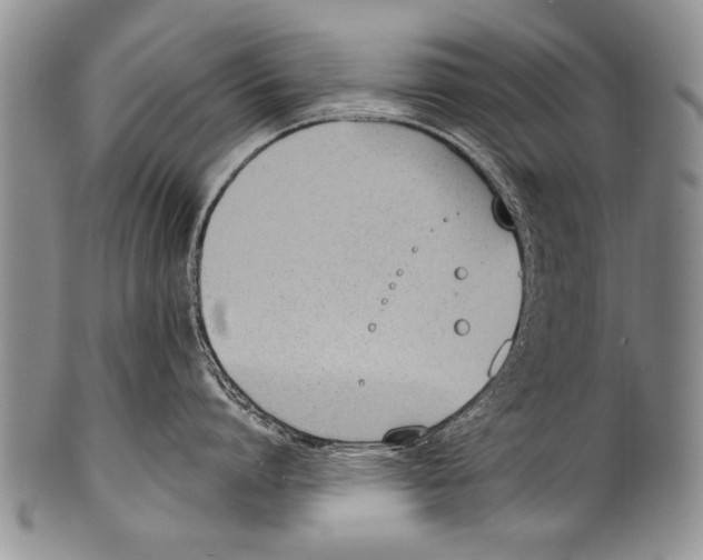 X0000100320864200806261225