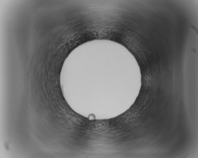 X0000100320865200806261224