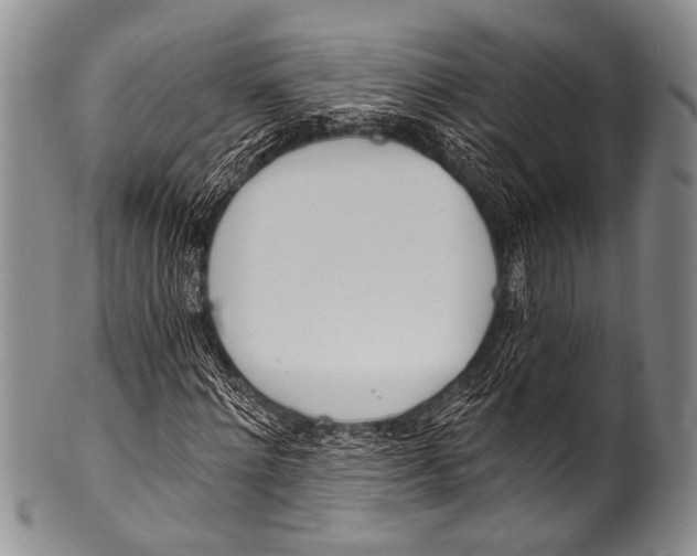 X0000100320868200806261224