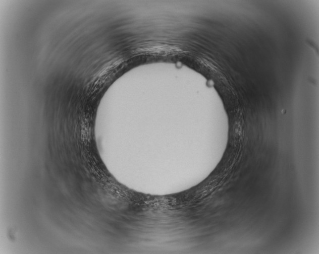 X0000100320869200806261224