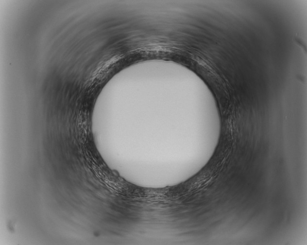 X0000100320870200806261224