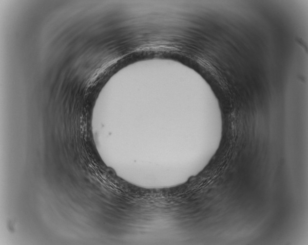 X0000100320872200806261224