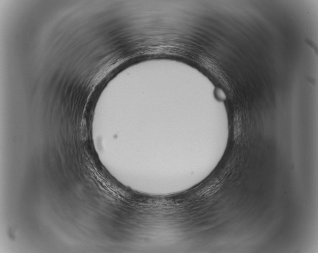 X0000100320876200806261224