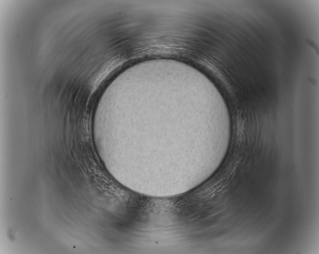 X0000100320878200806261224