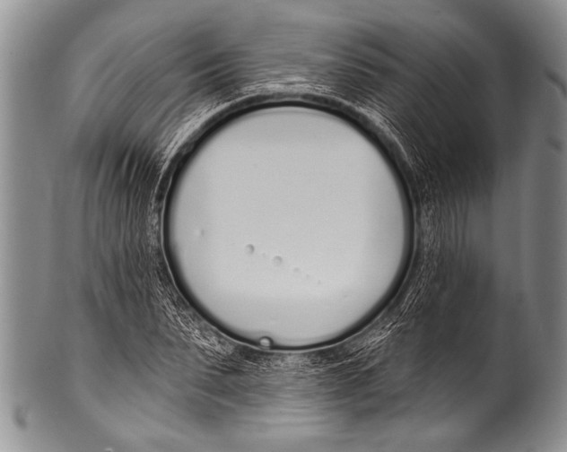 X0000100320879200806261224