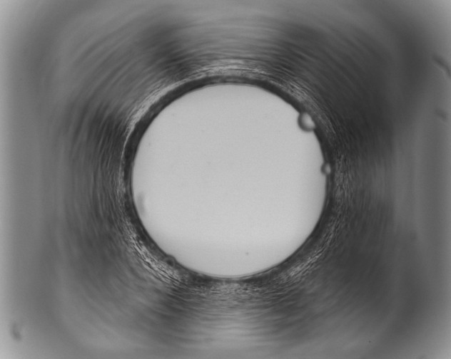 X0000100320880200806261224