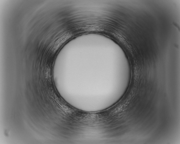 X0000100320881200806261224