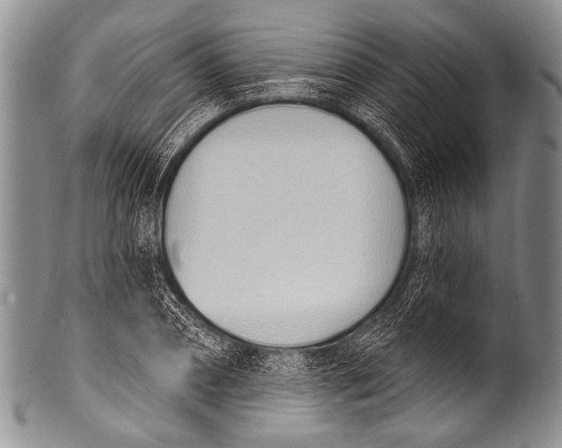 X0000100320882200806261224