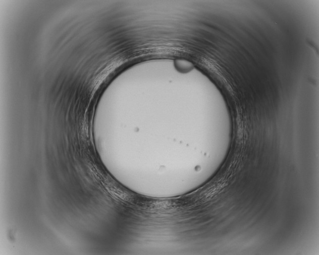 X0000100320883200806261224