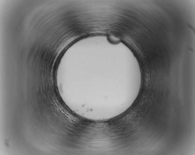 X0000100320884200806261224