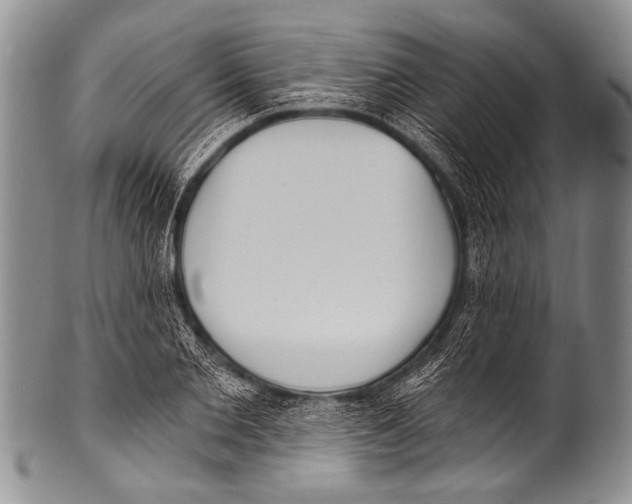 X0000100320885200806261224