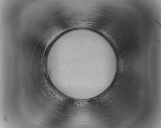 X0000100320886200806261224