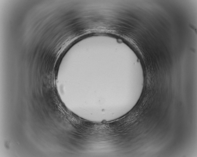 X0000100320887200806261224