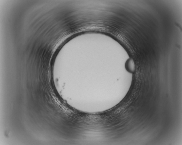 X0000100320888200806261224