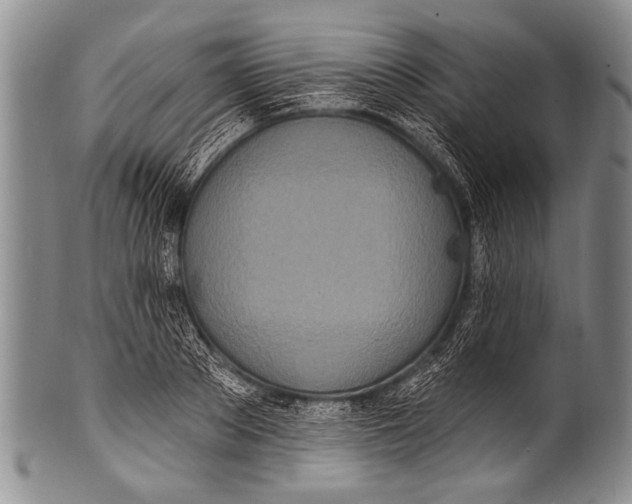 X0000100320889200806261224