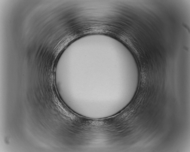 X0000100320890200806261224