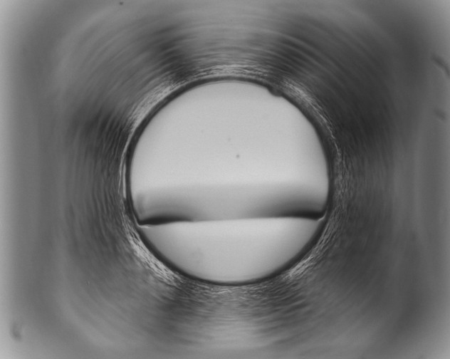 X0000100320892200806261224