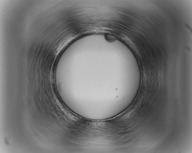 X0000100320893200806261224