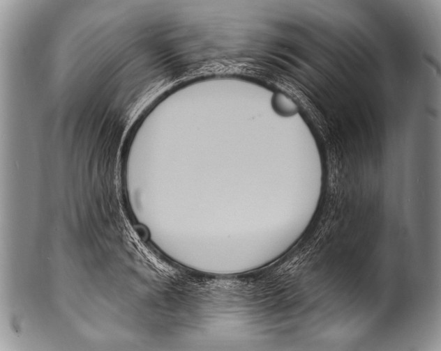 X0000100320894200806261224