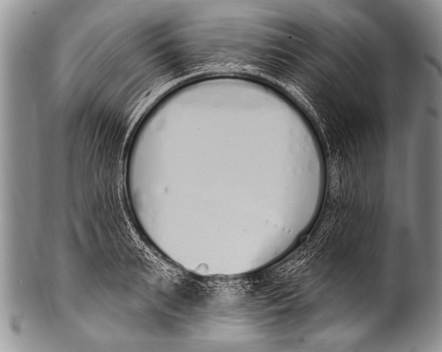 X0000100320895200806261224