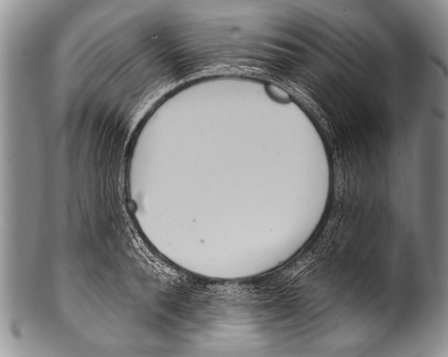 X0000100320896200806261224