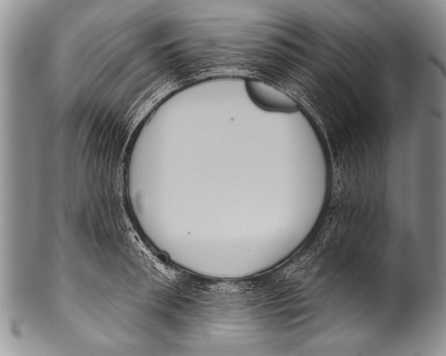 X0000100320898200806261224