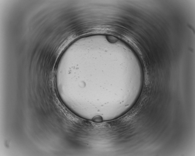 X0000100320899200806261224