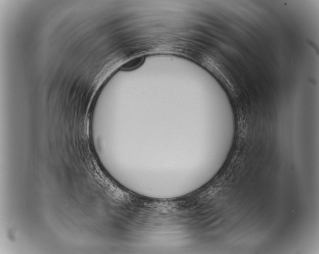 X0000100320900200806261224