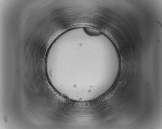 X0000100320901200806261224