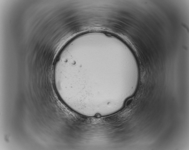 X0000100320903200806261223