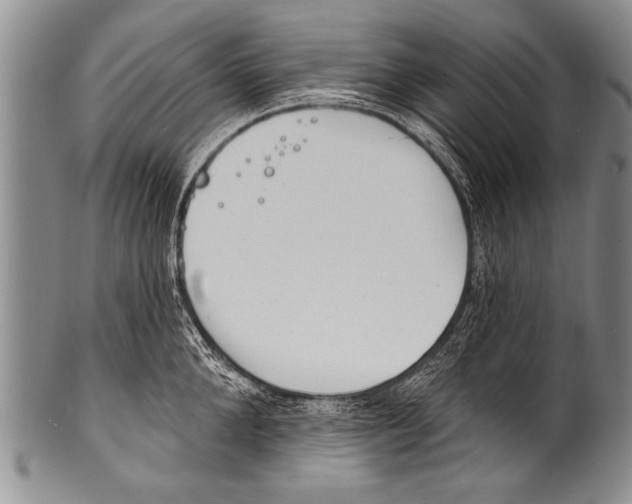 X0000100320904200806261223