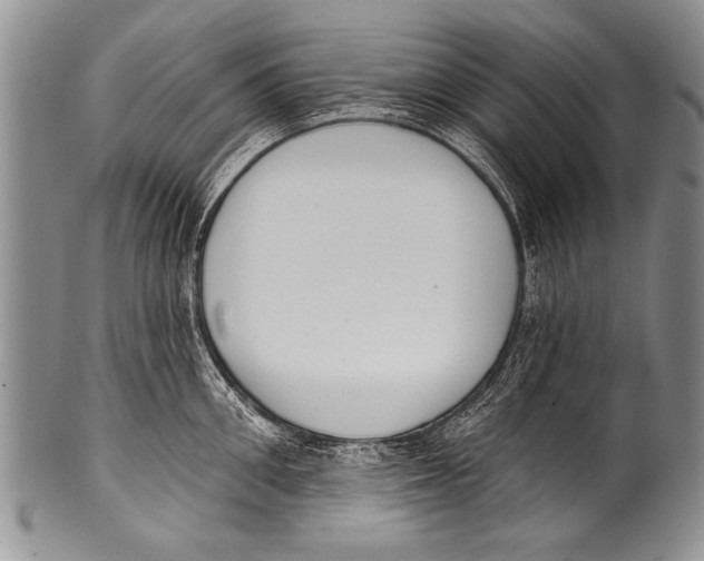 X0000100320906200806261223