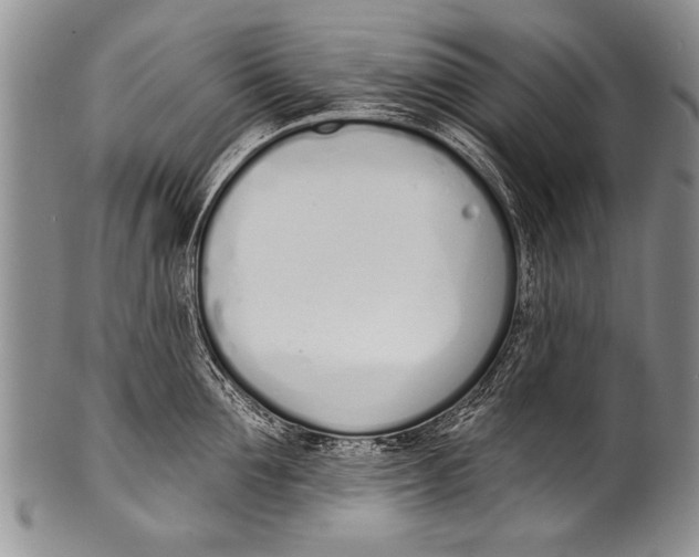 X0000100320907200806261223