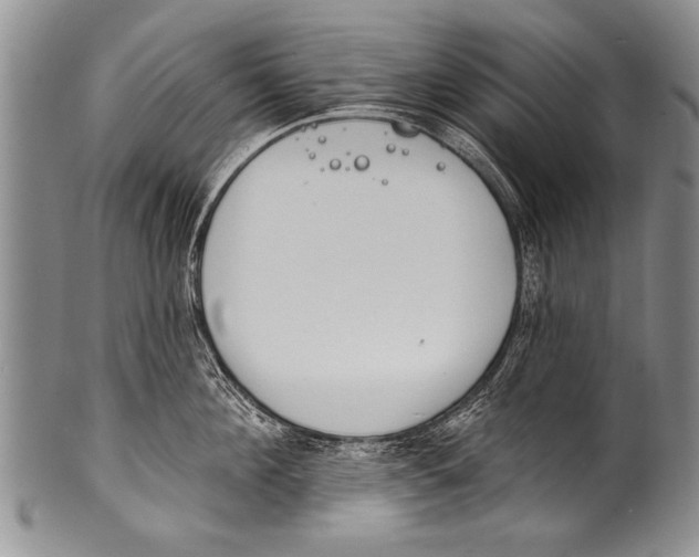 X0000100320908200806261223