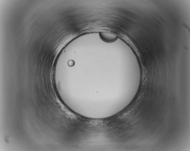 X0000100320909200806261223