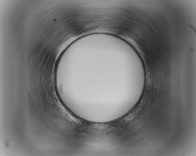 X0000100320910200806261223