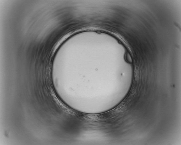 X0000100320911200806261223