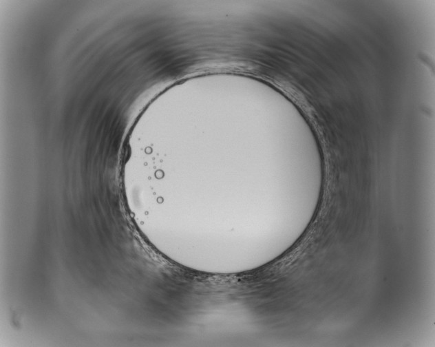 X0000100320912200806261223