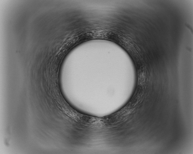 X0000100320913200806261223