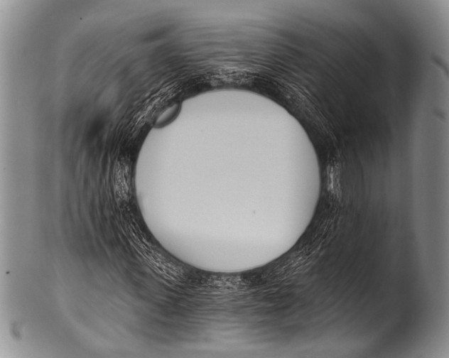 X0000100320915200806261223