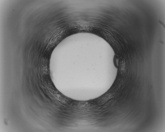 X0000100320916200806261223