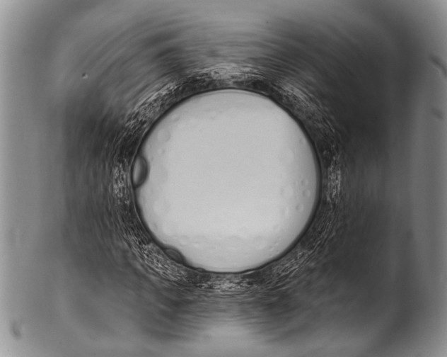 X0000100320917200806261223