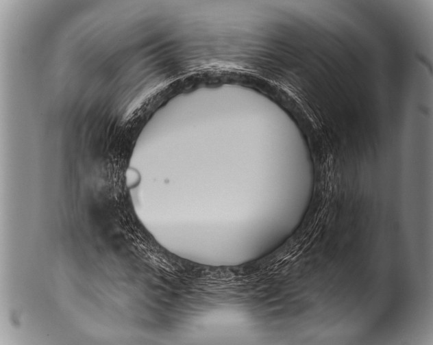 X0000100320919200806261223