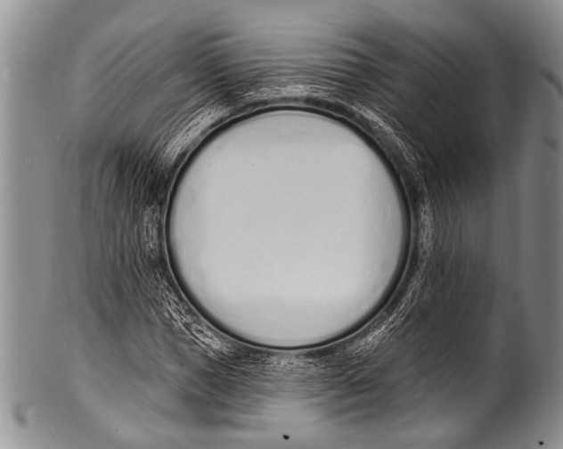 X0000100320921200806261223